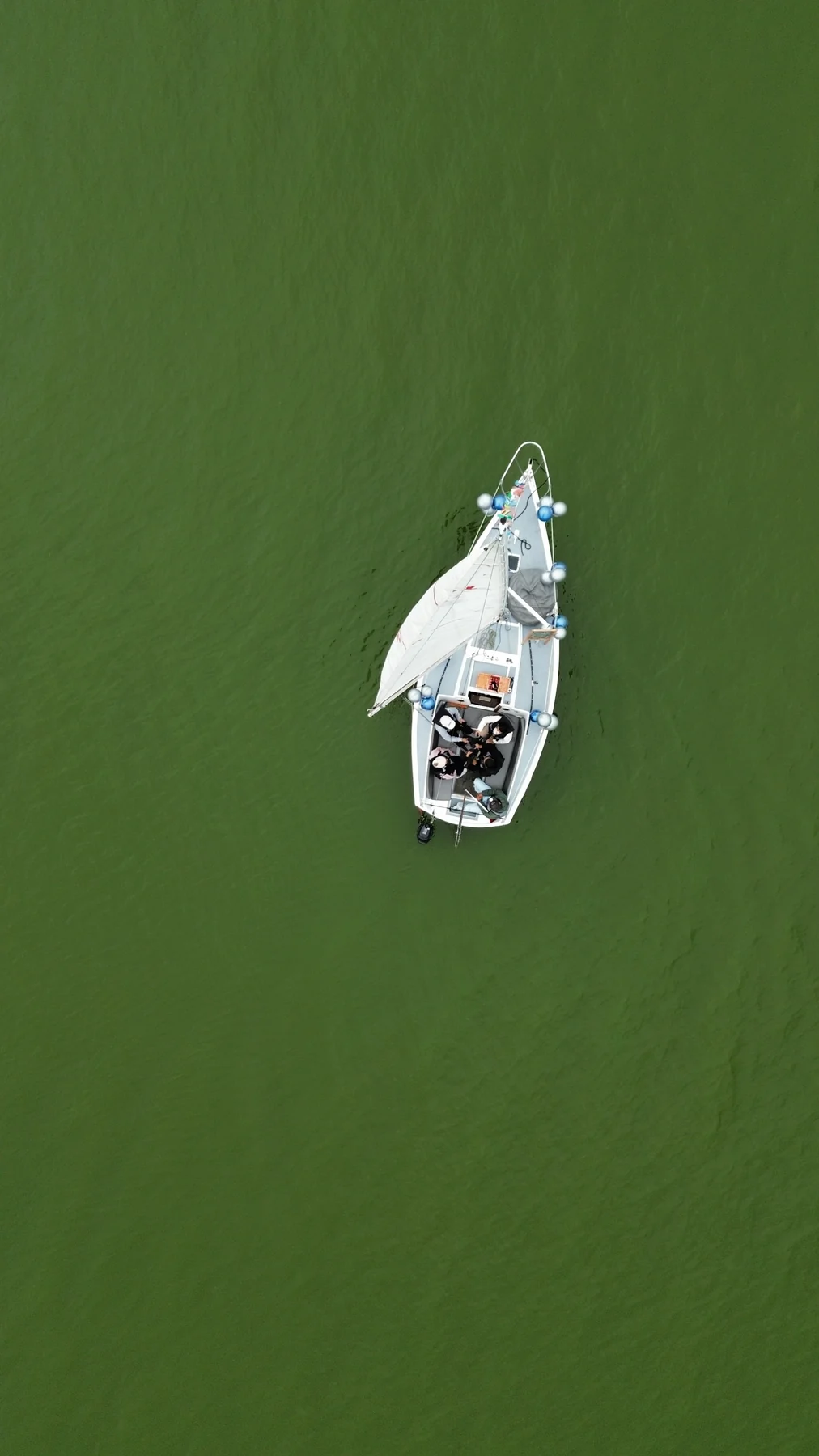 Perla, velero Alcort AMF 2100