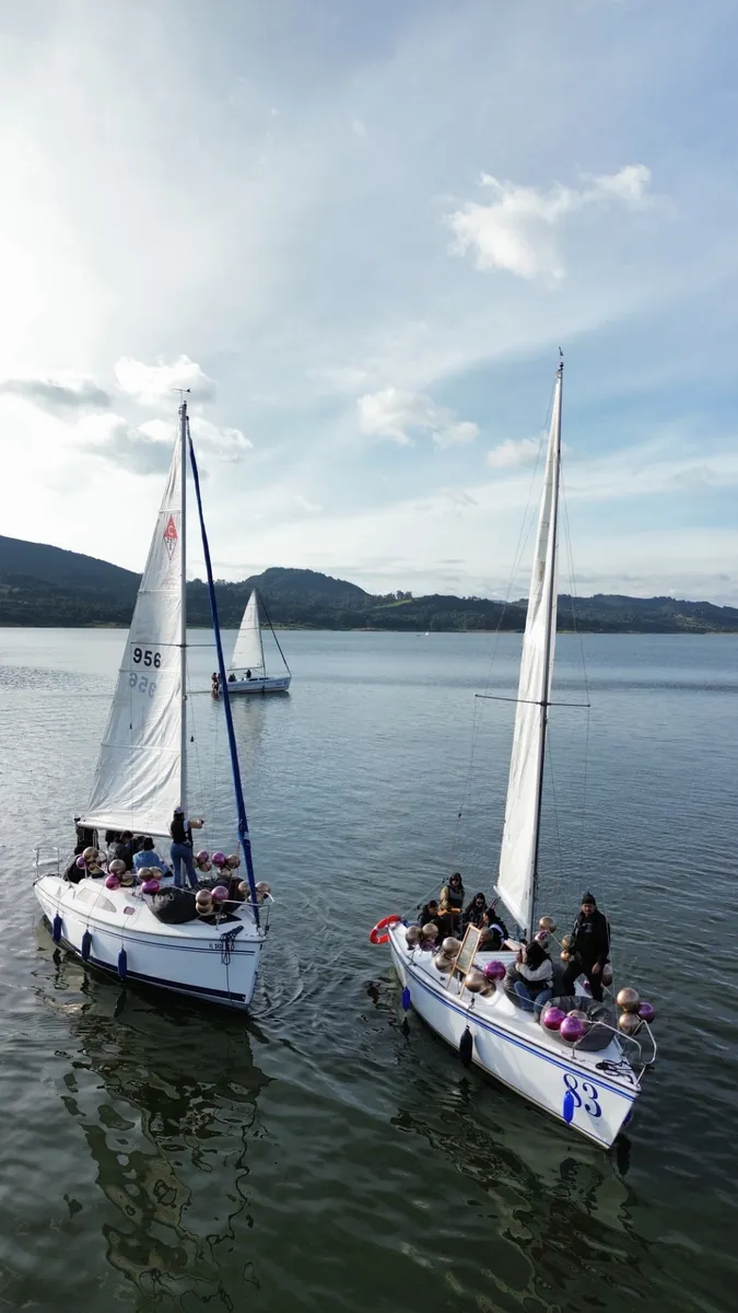 Navegación privada